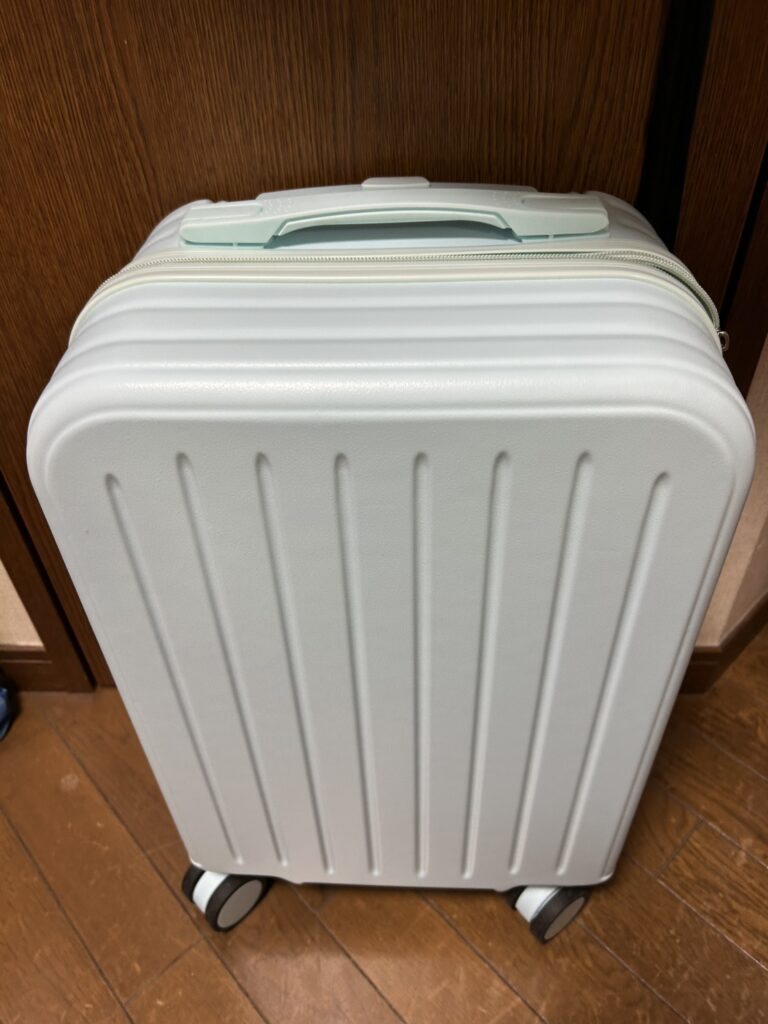 【日帰りお出かけ用ミニキャリー】買ってみたのでレビューします