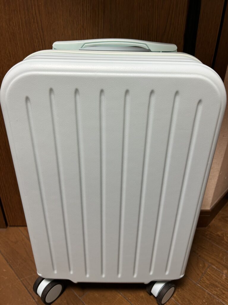 【日帰りお出かけ用ミニキャリー】買ってみたのでレビューします