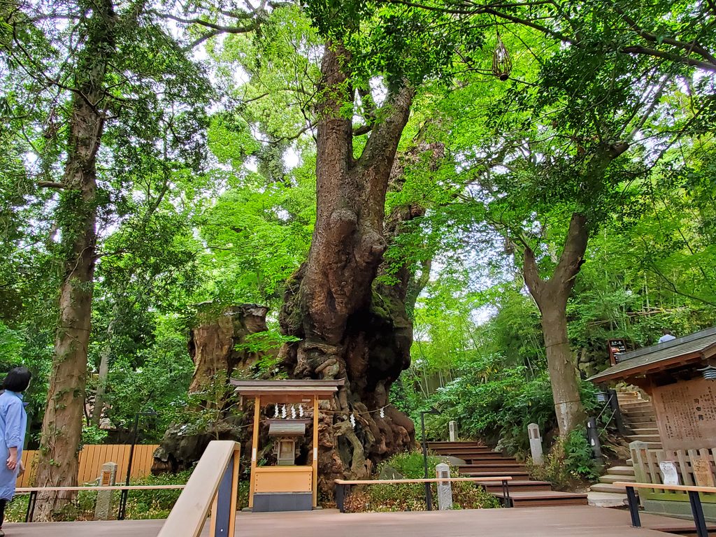 子育ての息抜きに「一人旅行」はあり?罪悪感を手放して、自分の時間を楽しもう